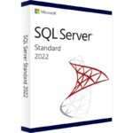 SQL SERVER 2022 STANDARD EDITION